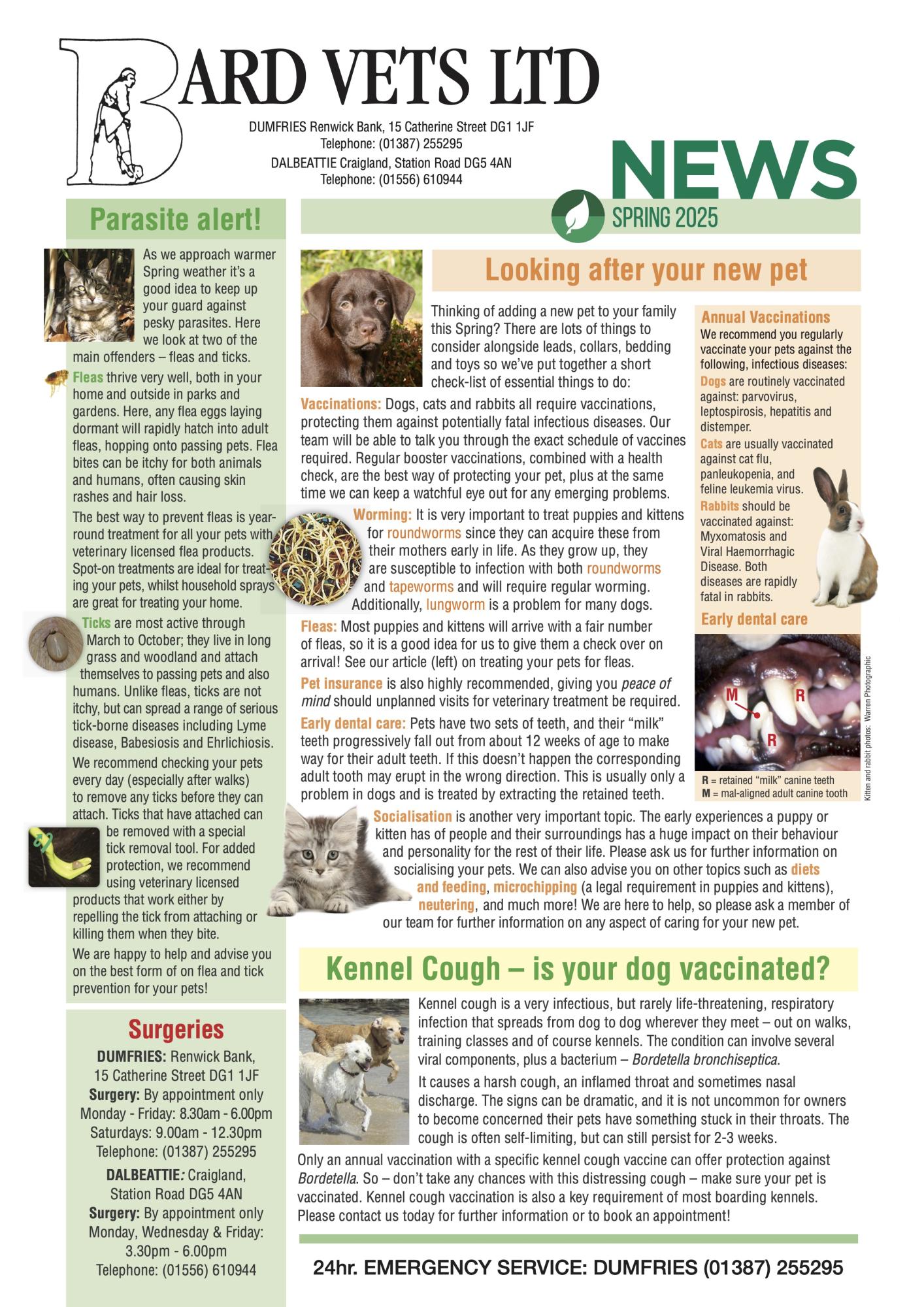 Spring newsletter 2025 page 1