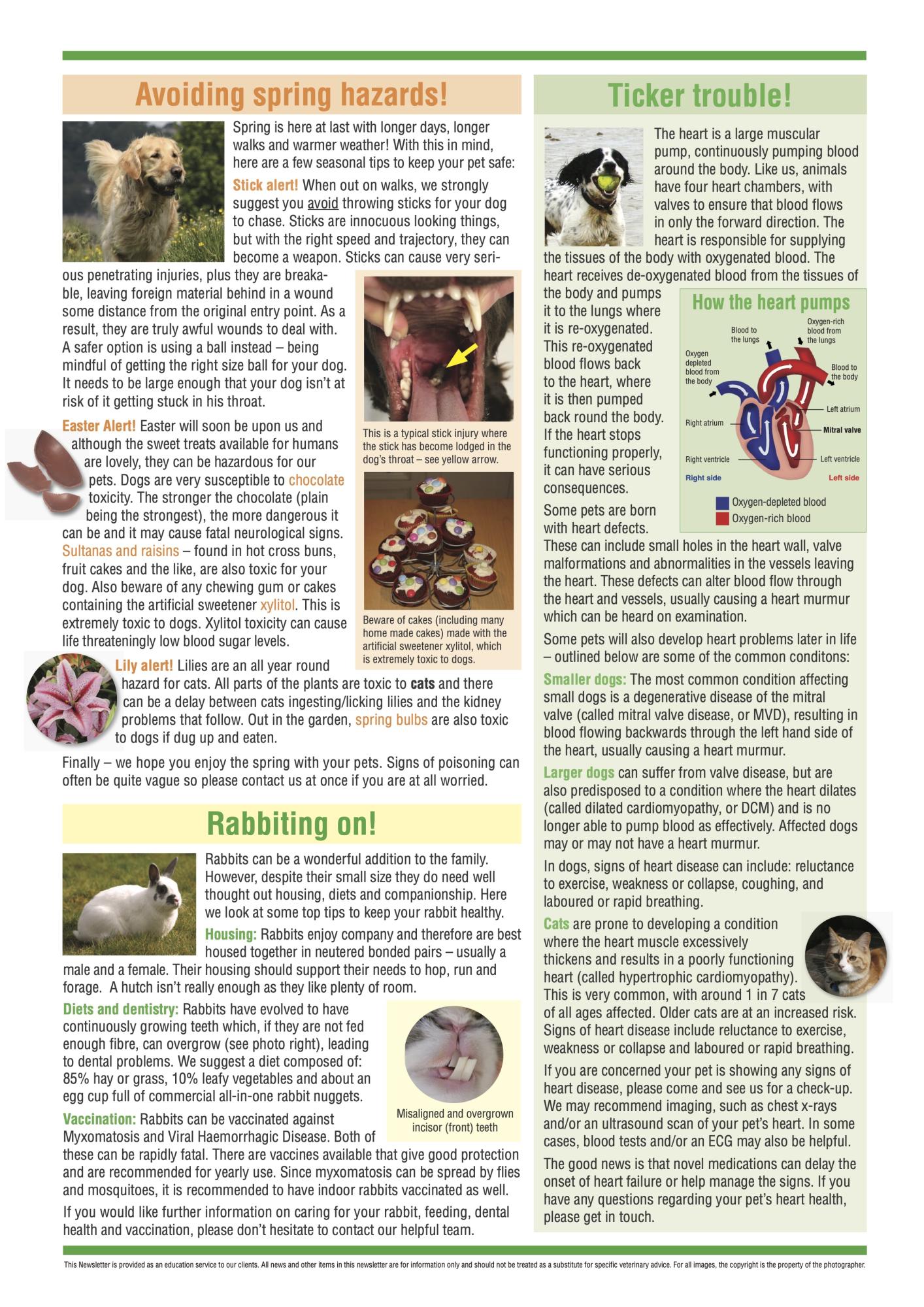 Spring news letter 2025 page 2